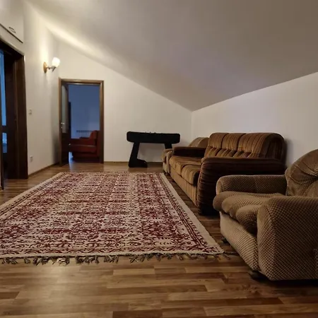 Bucovina-mountainhouse-5br-fireplace-hottub-wifi * Sucevita